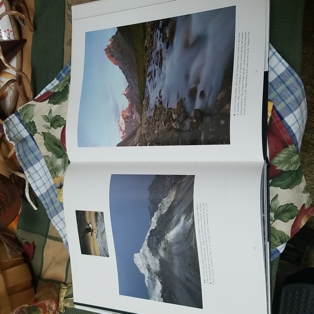 ✨ALASKA BOOK - Picture 10 of 11